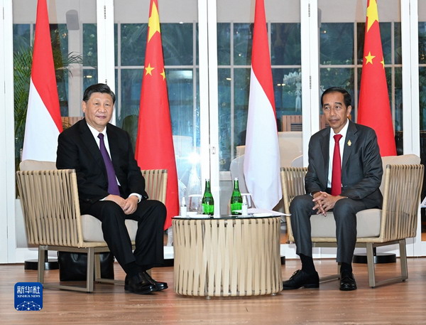 习近平同印尼总统佐科举行会谈4_缩小大小.jpg