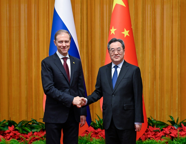 丁薛祥会见俄罗斯副总理.jpg